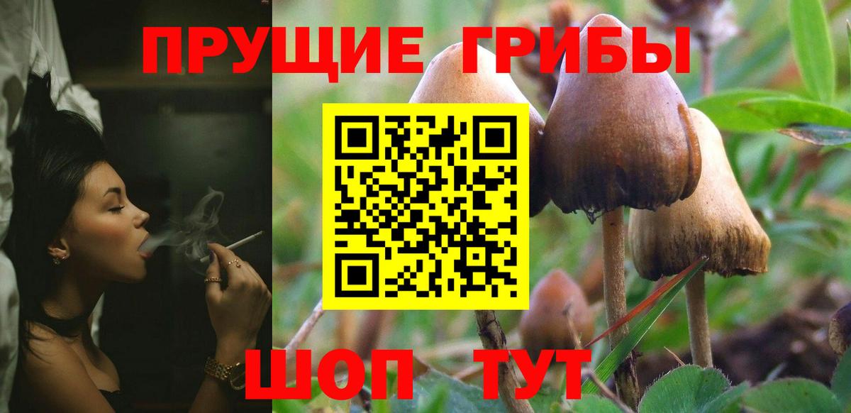 Коряжма  Вход с VPN  Cocaine  НБОМе  Меф МЯУ МЯУ   ТГК  МАРИХУАНА 