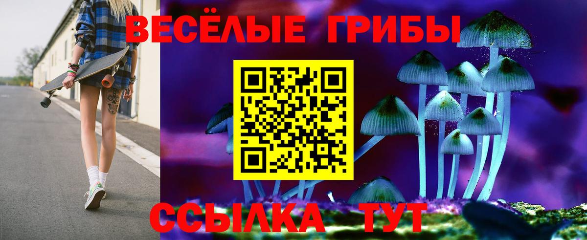 Псилоцибиновые грибы Cubensis  Вход с VPN  Коряжма  магазин продажи   Псилоцибиновые грибы MAGIC MUSHROOMS 